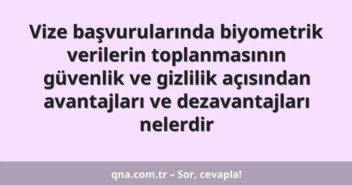 Vize başvurularında biyometrik verilerin toplanmasının güvenlik ve gizlilik açısından avantajları ve dezavantajları nelerdir