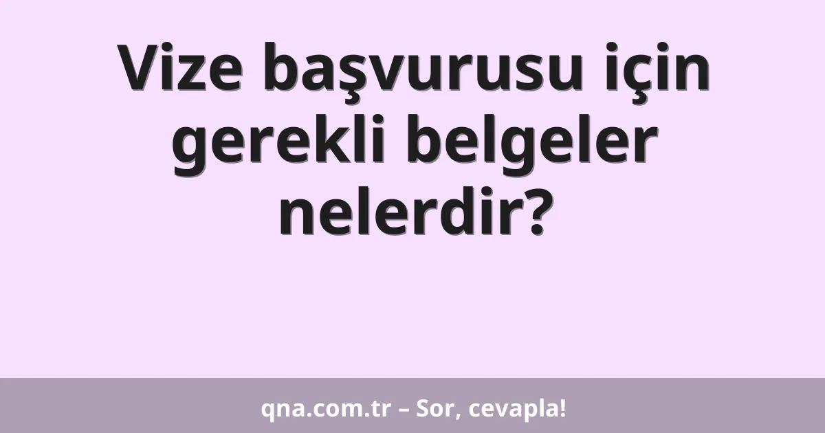 Vize başvurusu için gerekli belgeler nelerdir?
