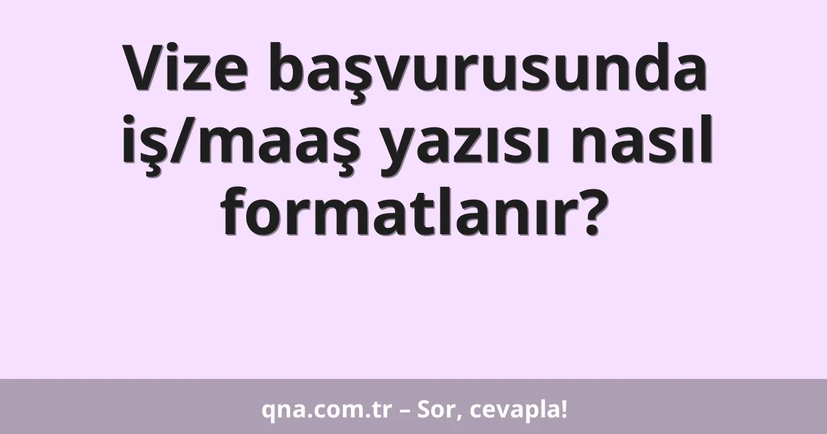 Vize başvurusunda iş/maaş yazısı nasıl formatlanır?