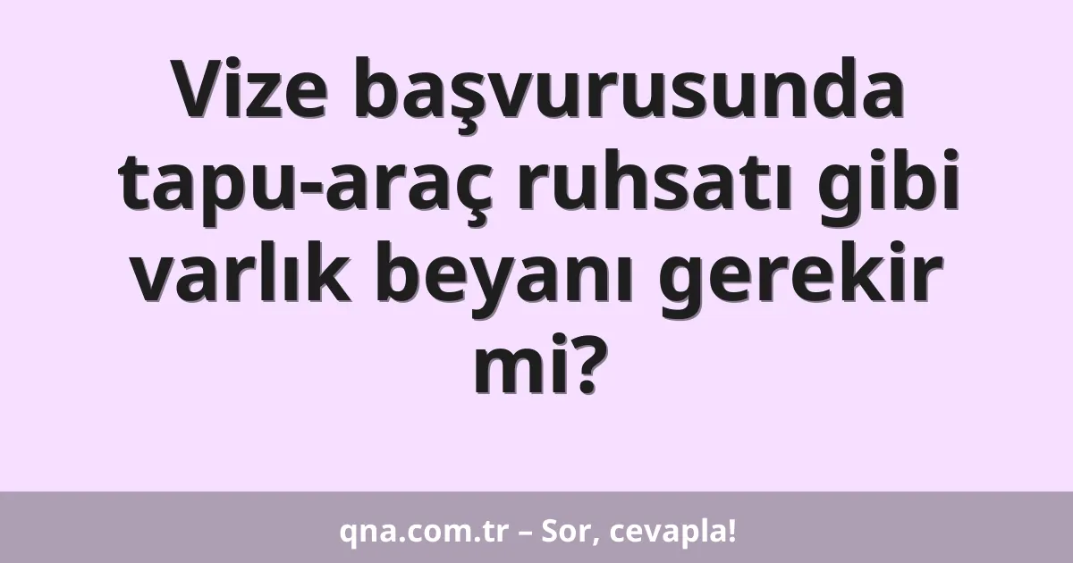 Vize başvurusunda tapu-araç ruhsatı gibi varlık beyanı gerekir mi?