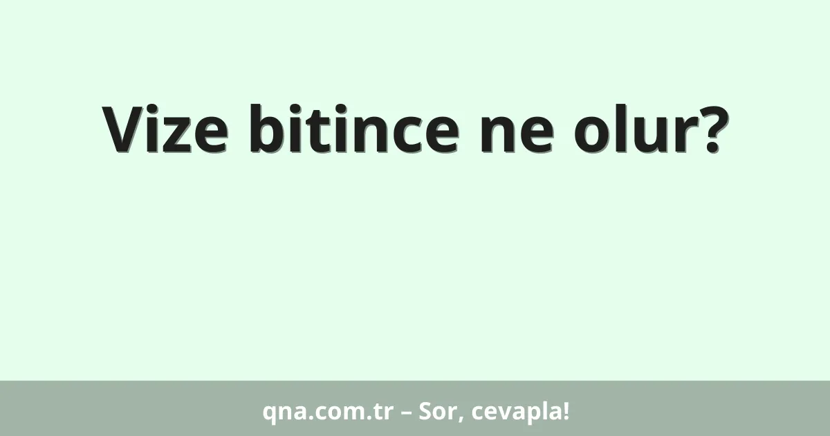 Vize bitince ne olur?