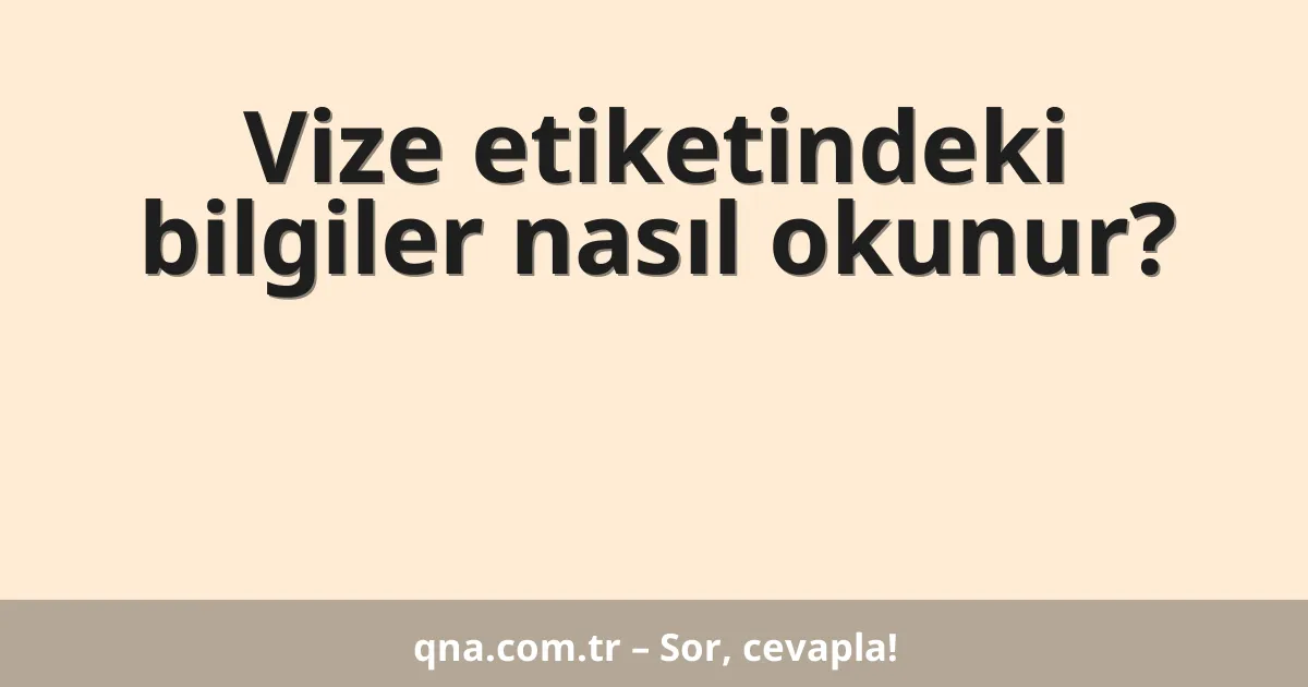 Vize etiketindeki bilgiler nasıl okunur?