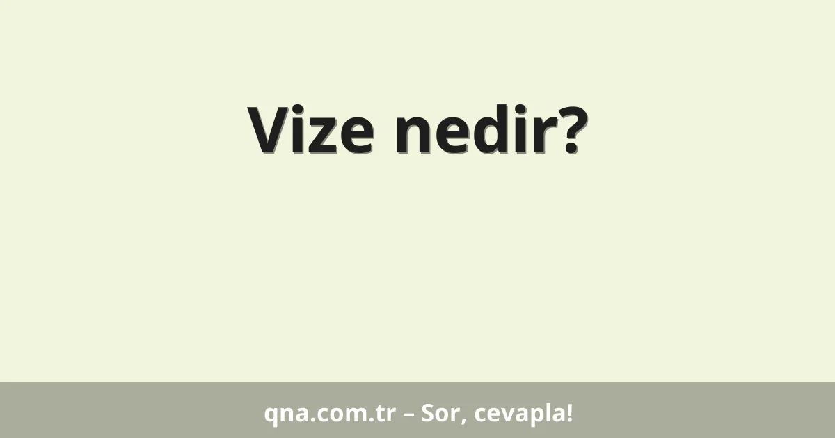 Vize nedir?