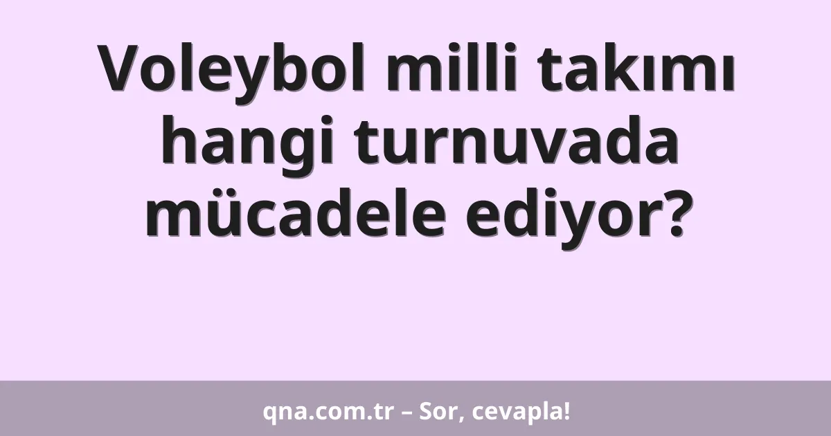 Voleybol milli takımı hangi turnuvada mücadele ediyor?