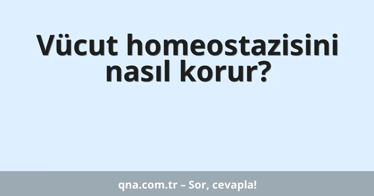 Vücut homeostazisini nasıl korur?