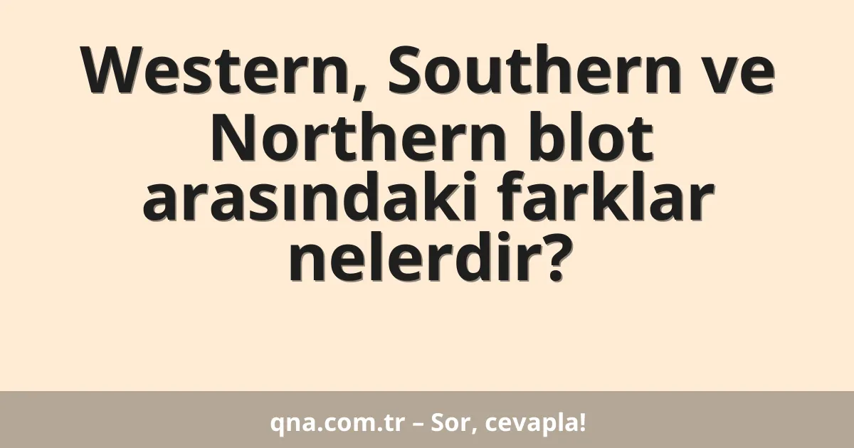 Western, Southern ve Northern blot arasındaki farklar nelerdir?