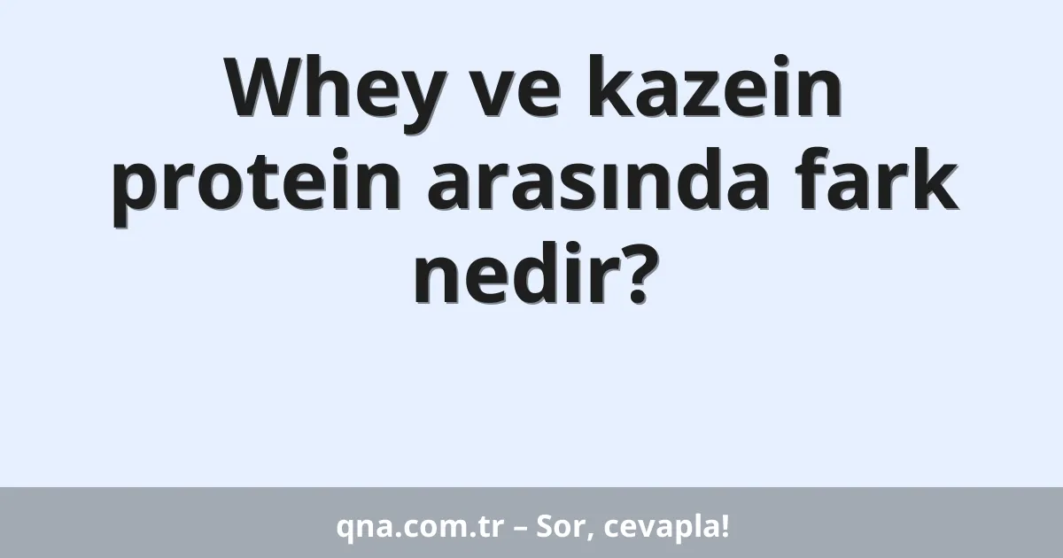 Whey ve kazein protein arasında fark nedir?