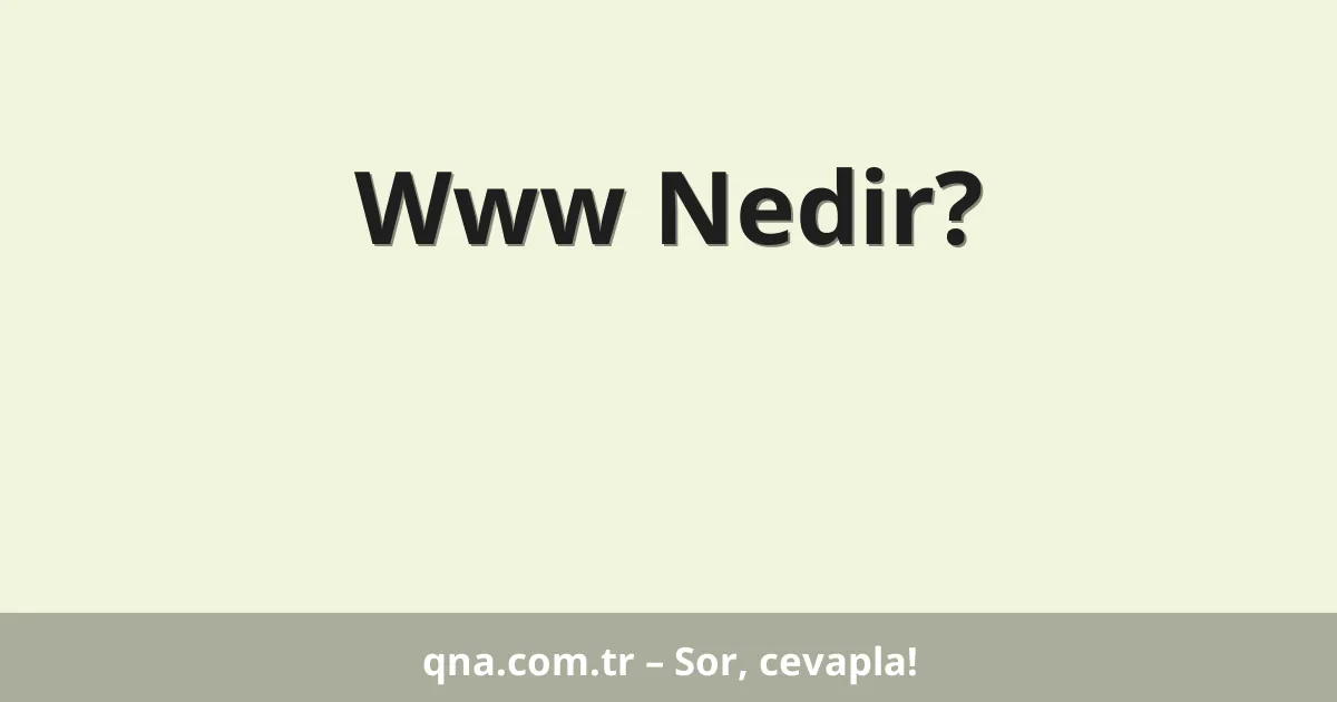 Www Nedir?
