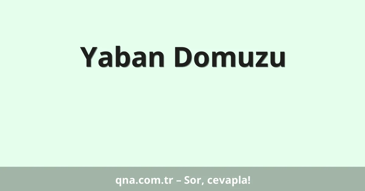 Yaban Domuzu
