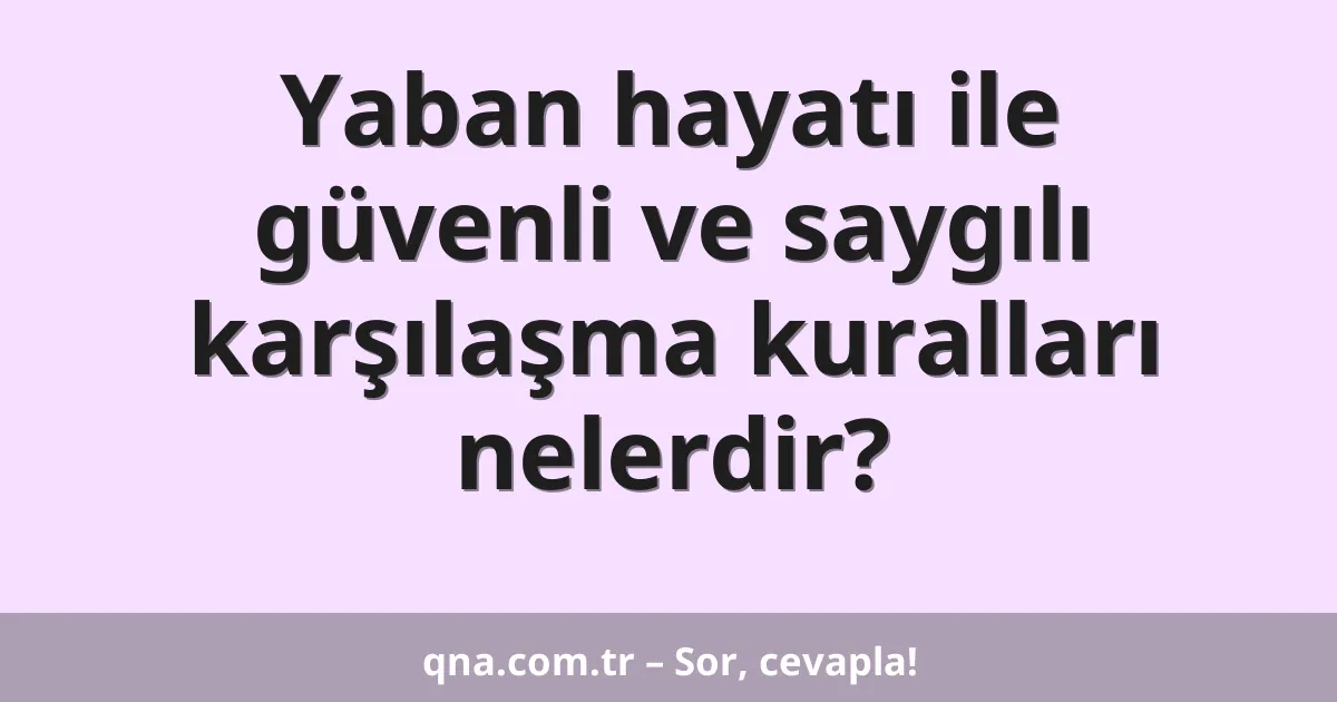 Yaban hayatı ile güvenli ve saygılı karşılaşma kuralları nelerdir?
