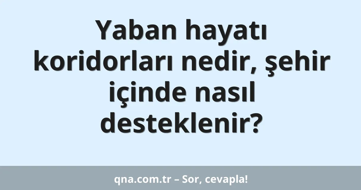 Yaban hayatı koridorları nedir, şehir içinde nasıl desteklenir?