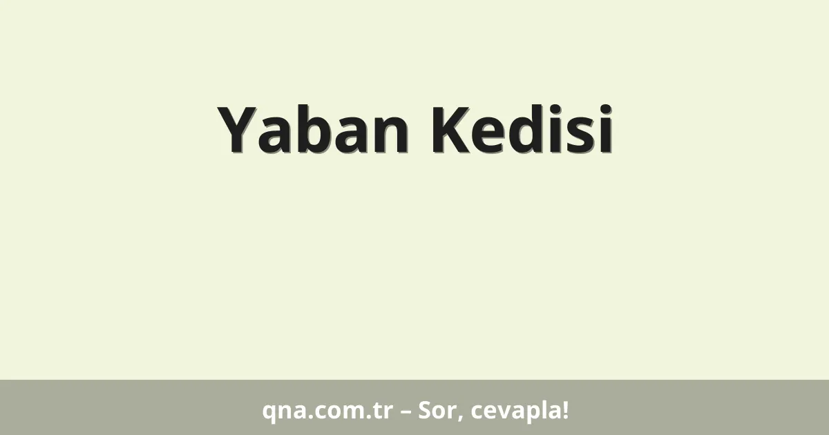 Yaban Kedisi