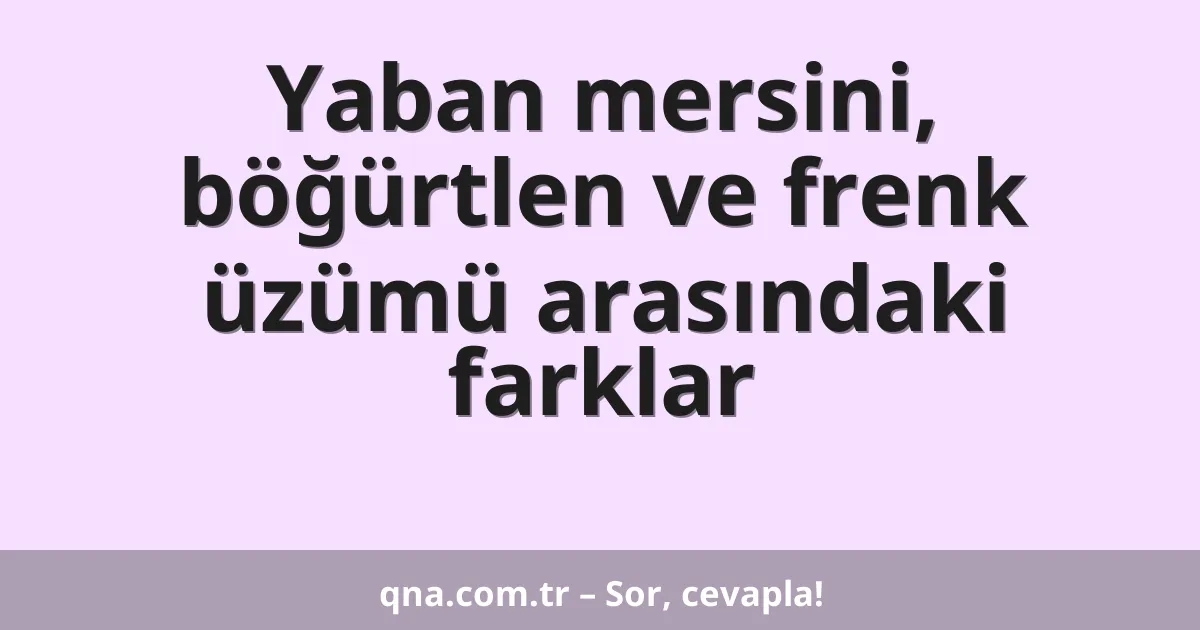 Yaban mersini, böğürtlen ve frenk üzümü arasındaki farklar