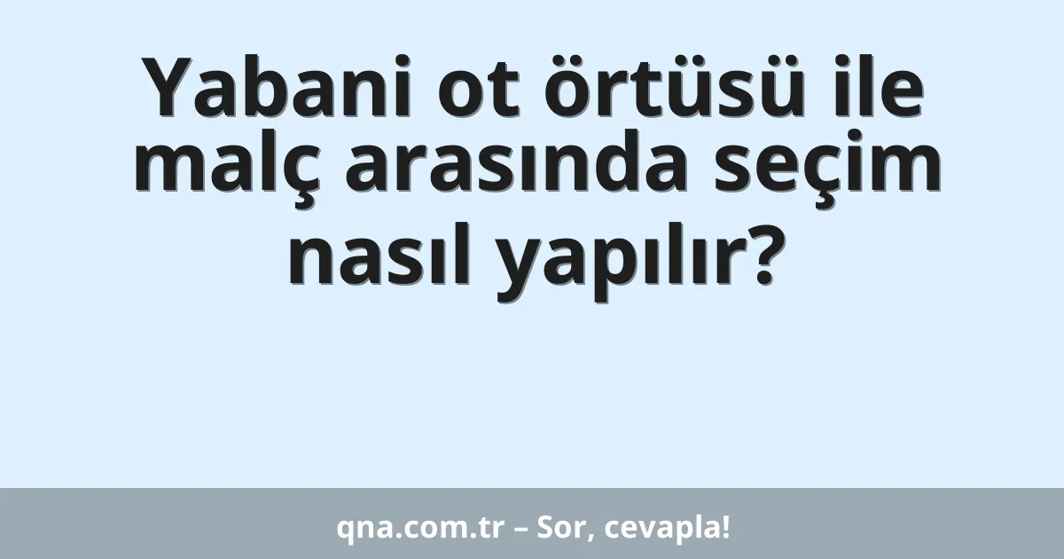 Yabani ot örtüsü ile malç arasında seçim nasıl yapılır?