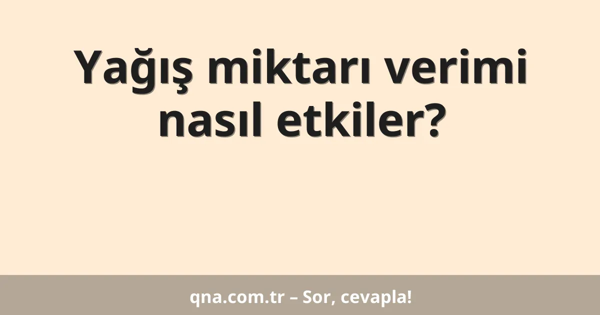 Yağış miktarı verimi nasıl etkiler?