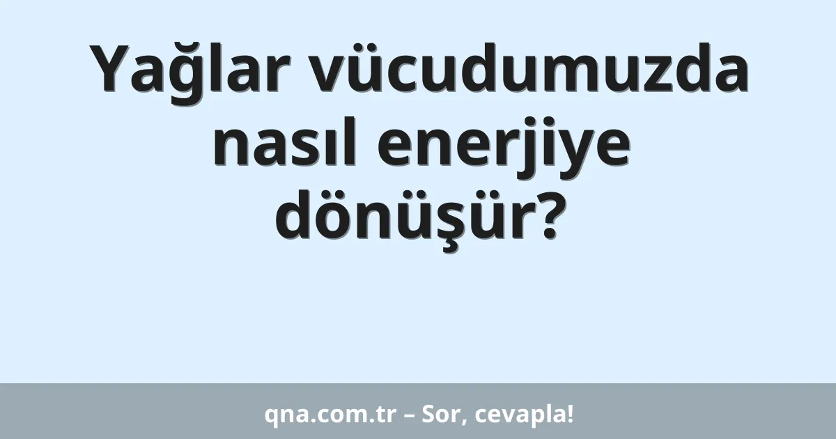 Yağlar vücudumuzda nasıl enerjiye dönüşür?