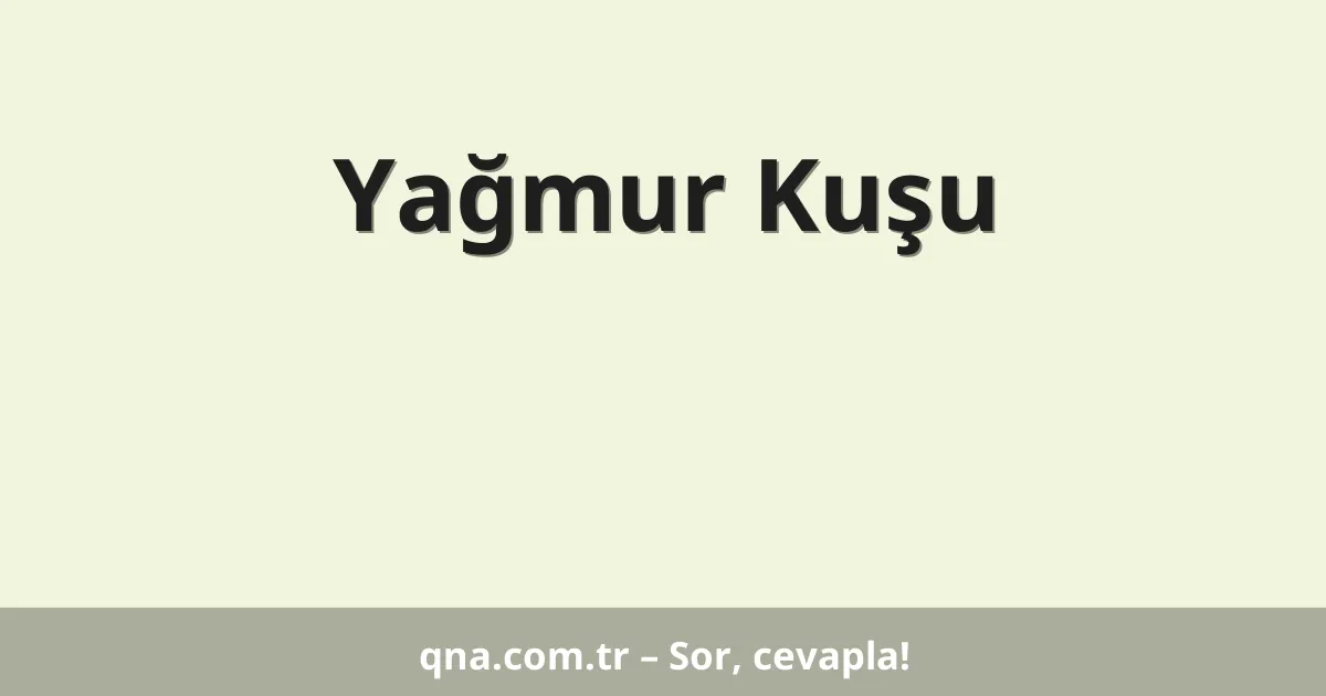 Yağmur Kuşu