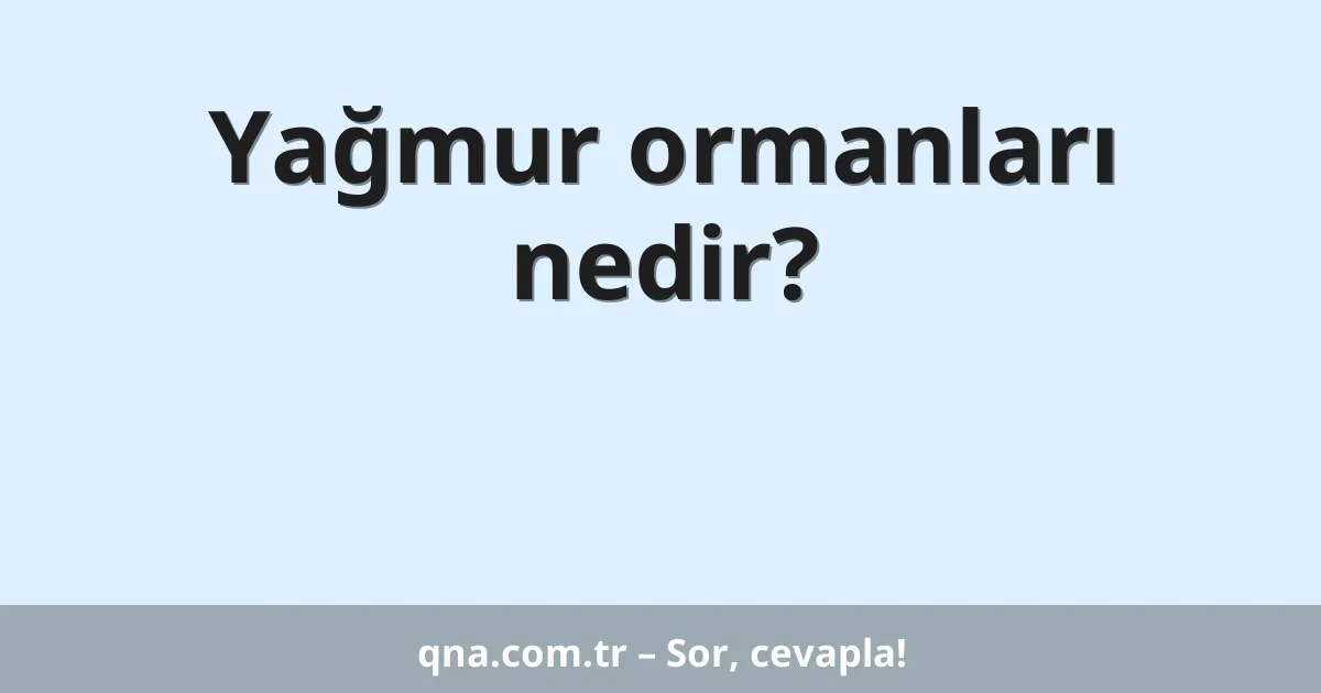 Yağmur ormanları nedir?