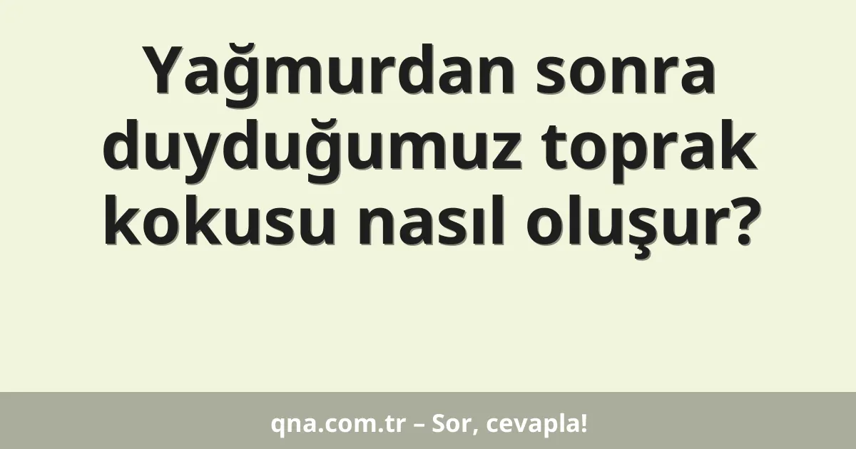 Yağmurdan sonra duyduğumuz toprak kokusu nasıl oluşur?