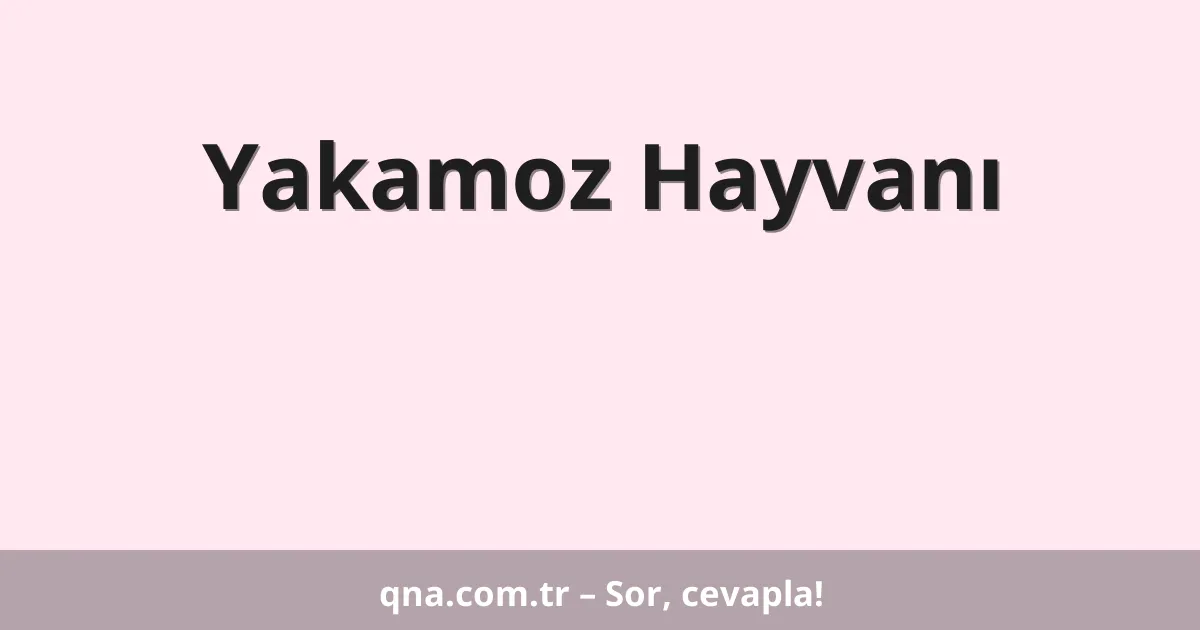 Yakamoz Hayvanı