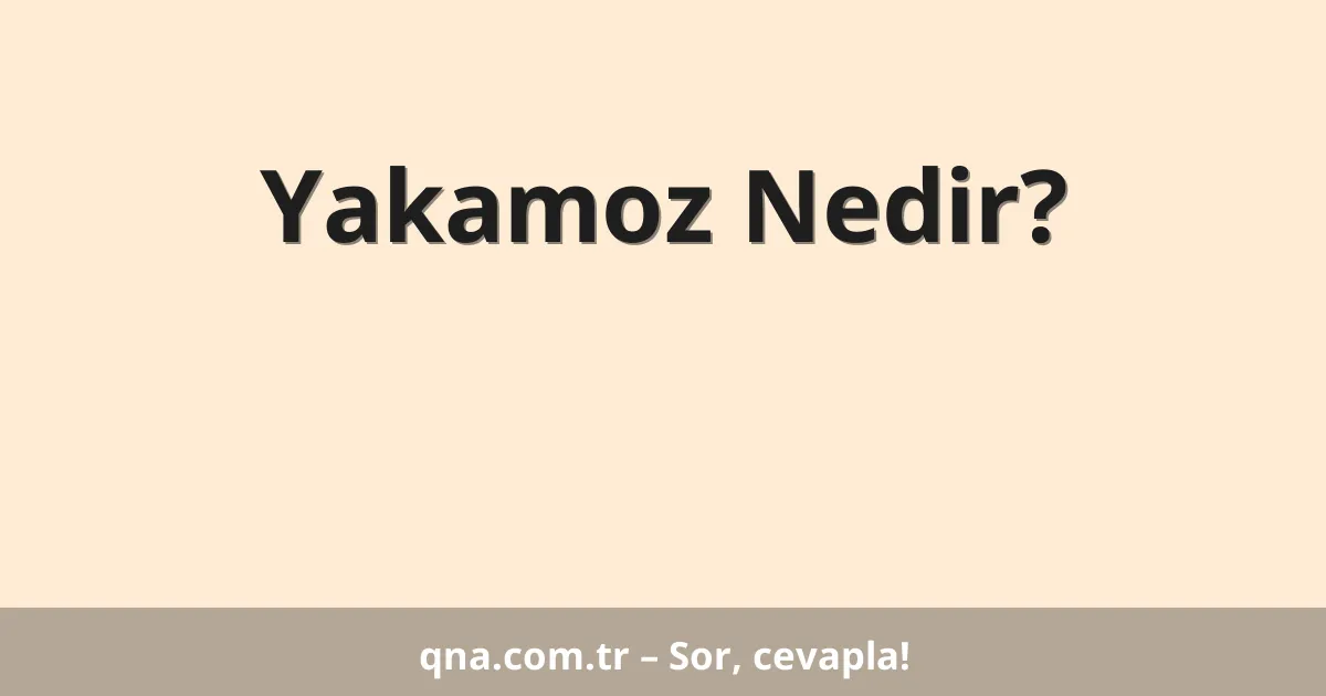 Yakamoz Nedir?