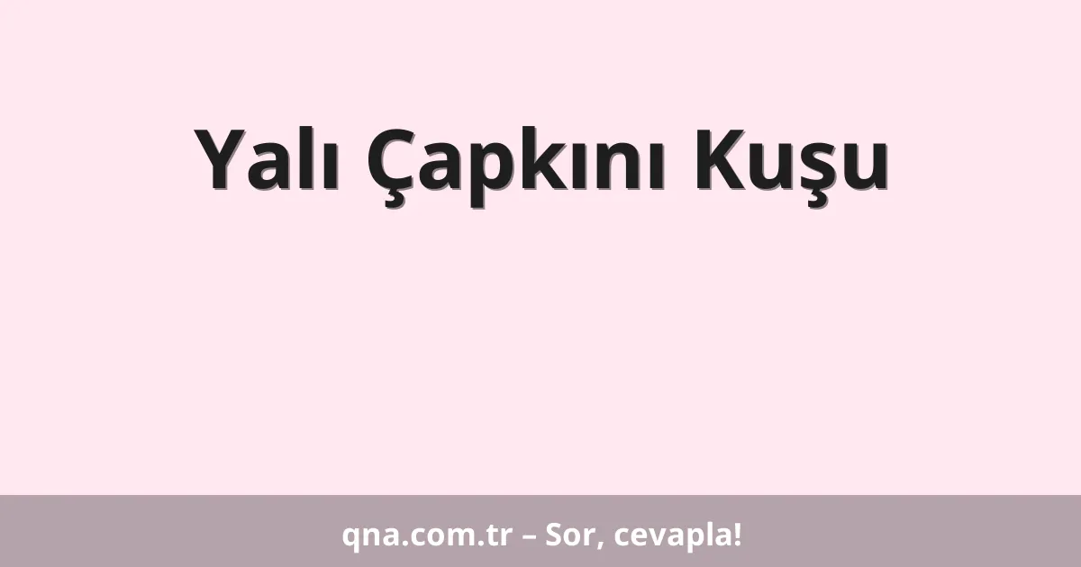 Yalı Çapkını Kuşu