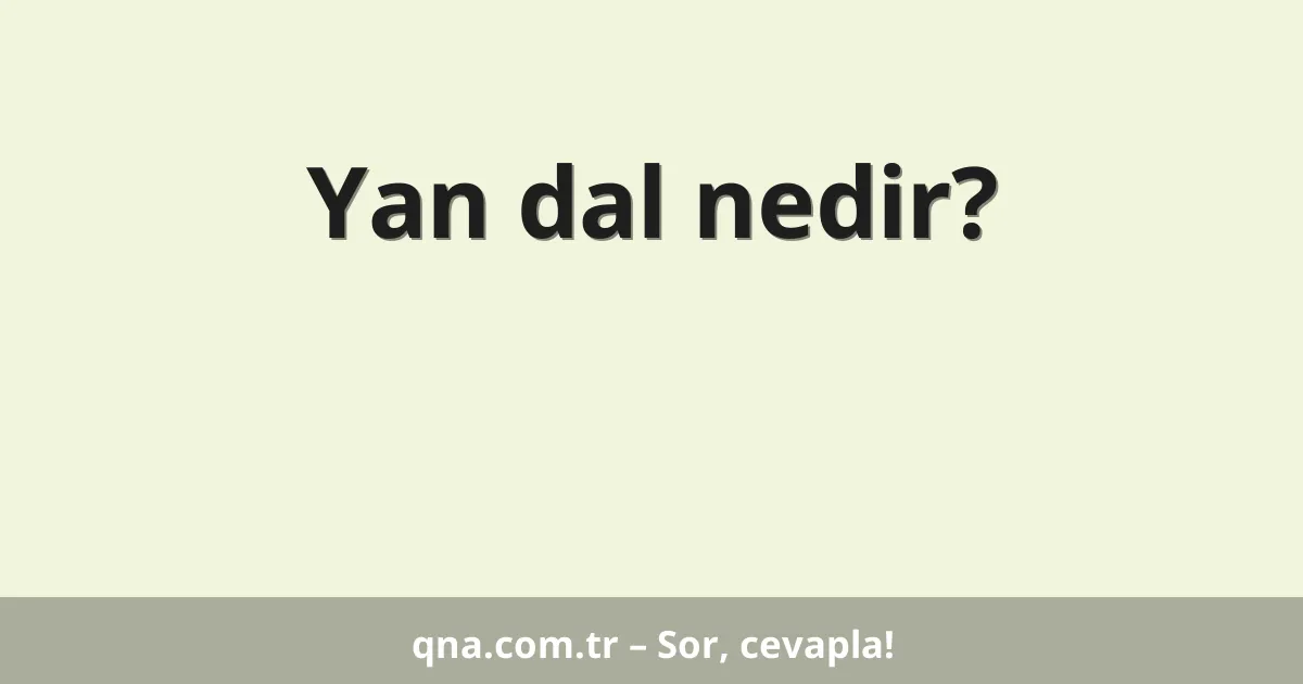 Yan dal nedir?