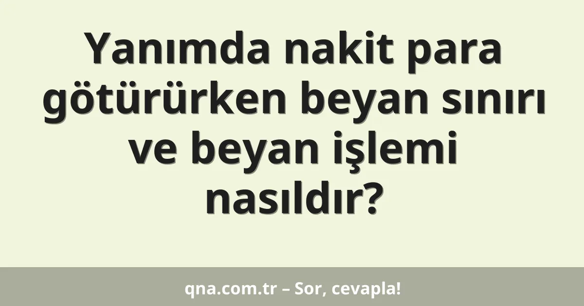 Yanımda nakit para götürürken beyan sınırı ve beyan işlemi nasıldır?