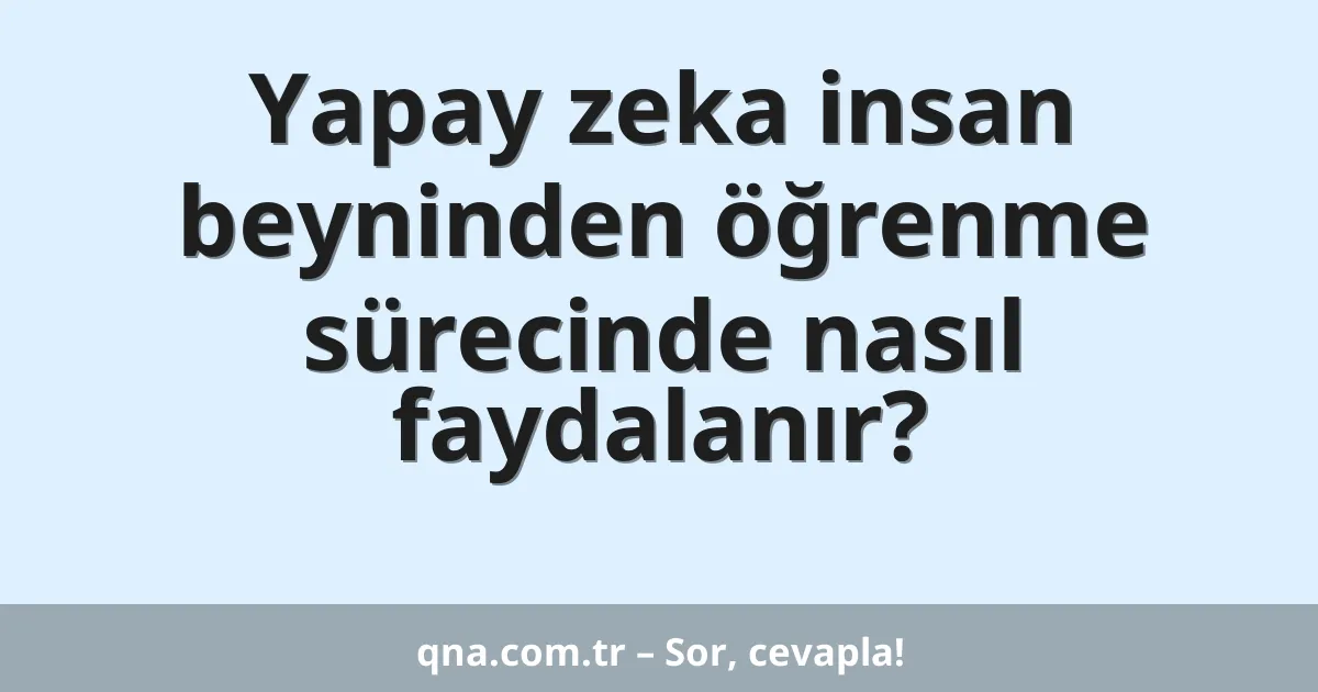 Yapay zeka insan beyninden öğrenme sürecinde nasıl faydalanır?