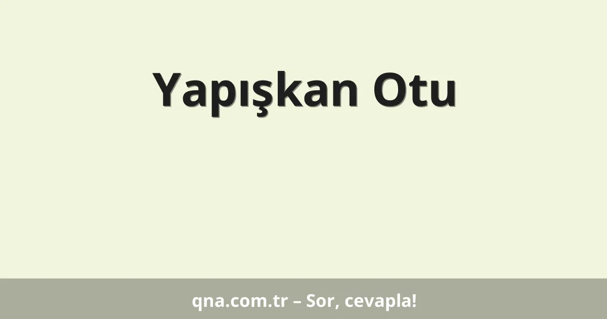 Yapışkan Otu