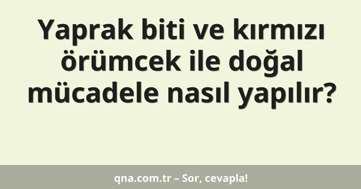 Yaprak biti ve kırmızı örümcek ile doğal mücadele nasıl yapılır?
