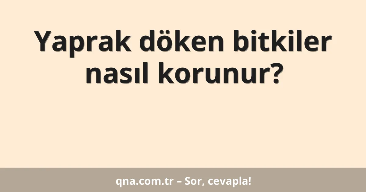 Yaprak döken bitkiler nasıl korunur?