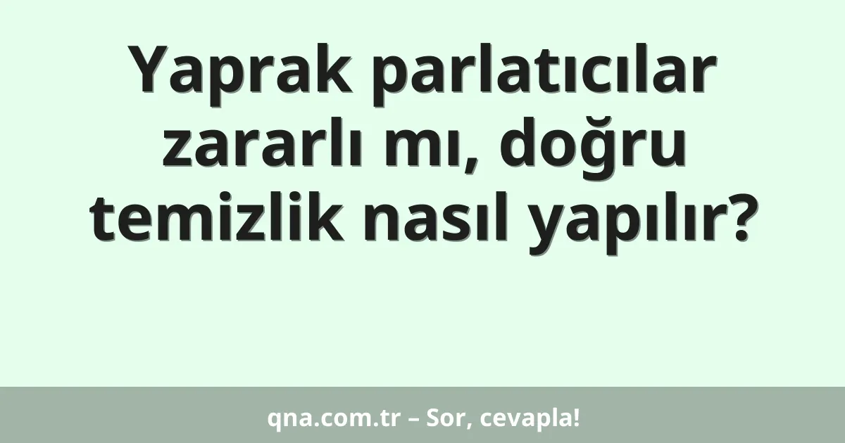 Yaprak parlatıcılar zararlı mı, doğru temizlik nasıl yapılır?