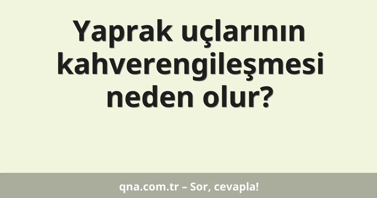 Yaprak uçlarının kahverengileşmesi neden olur?