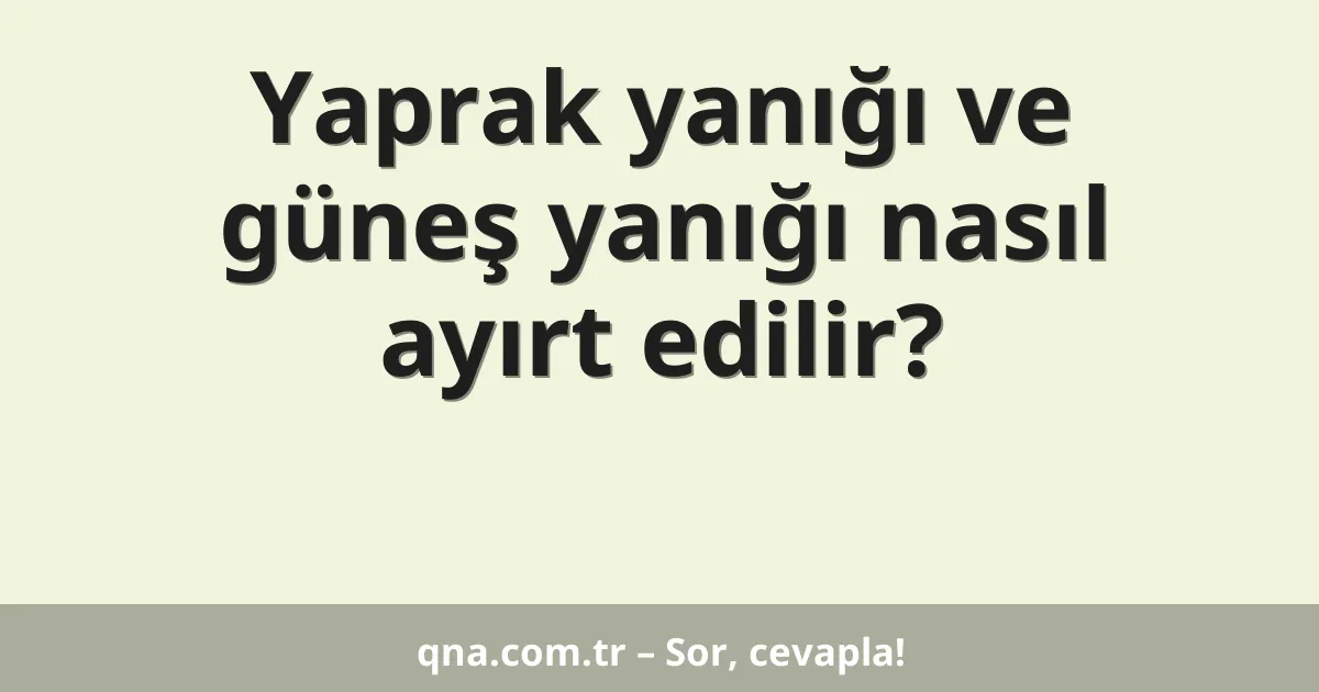 Yaprak yanığı ve güneş yanığı nasıl ayırt edilir?