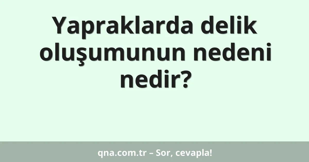 Yapraklarda delik oluşumunun nedeni nedir?
