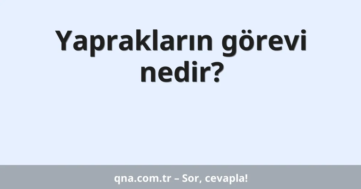 Yaprakların görevi nedir?