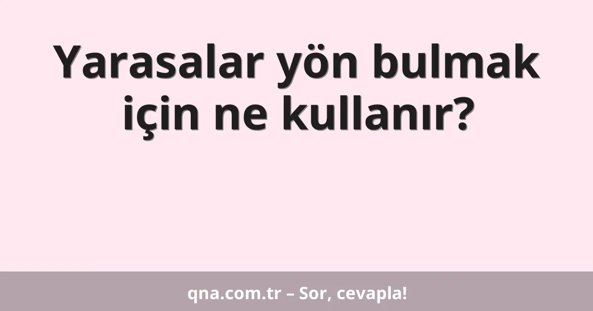 Yarasalar yön bulmak için ne kullanır?