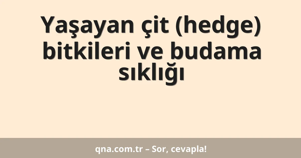 Yaşayan çit (hedge) bitkileri ve budama sıklığı