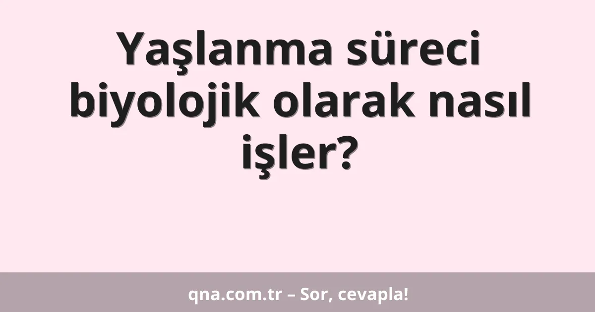 Yaşlanma süreci biyolojik olarak nasıl işler?