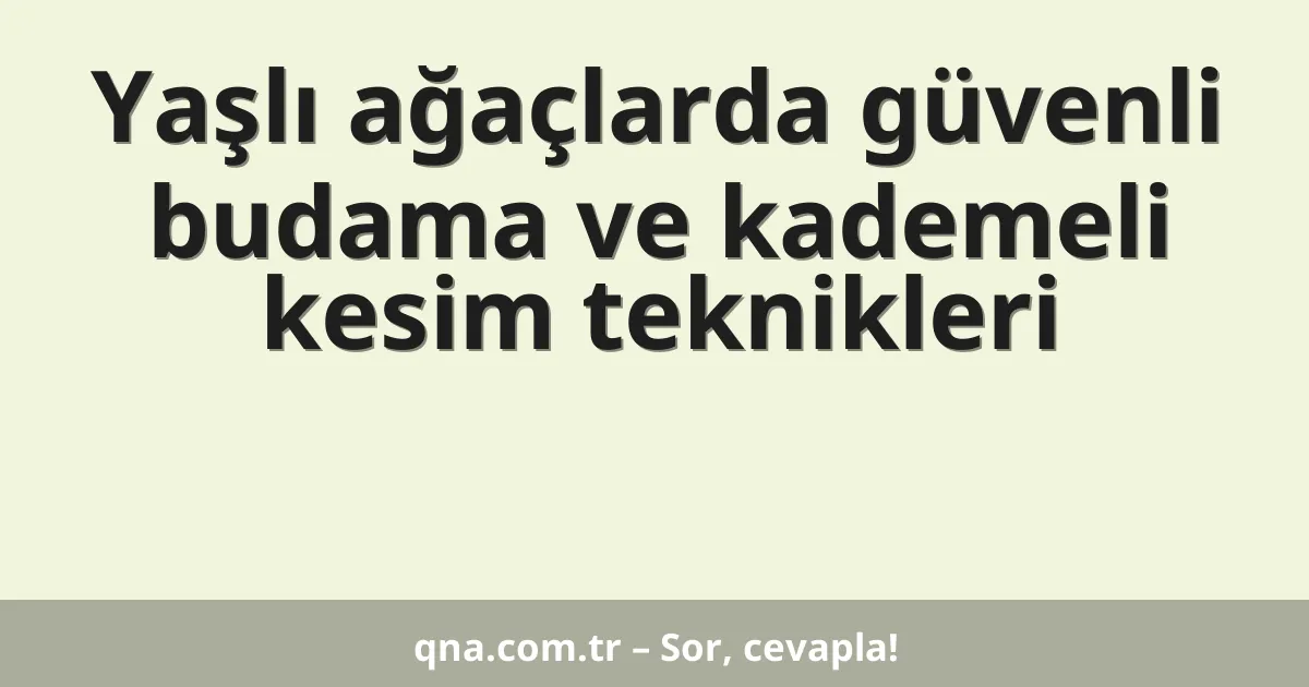 Yaşlı ağaçlarda güvenli budama ve kademeli kesim teknikleri