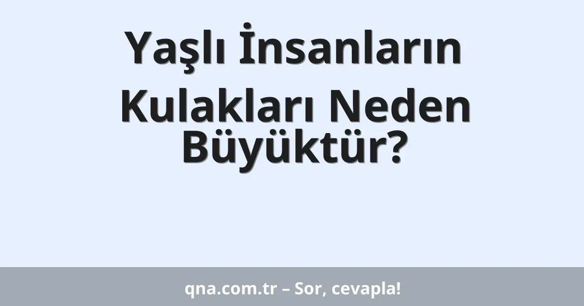 Yaşlı İnsanların Kulakları Neden Büyüktür?