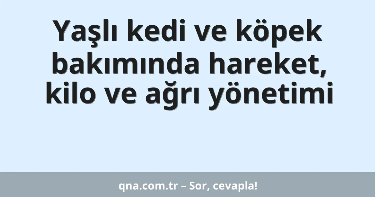Yaşlı kedi ve köpek bakımında hareket, kilo ve ağrı yönetimi