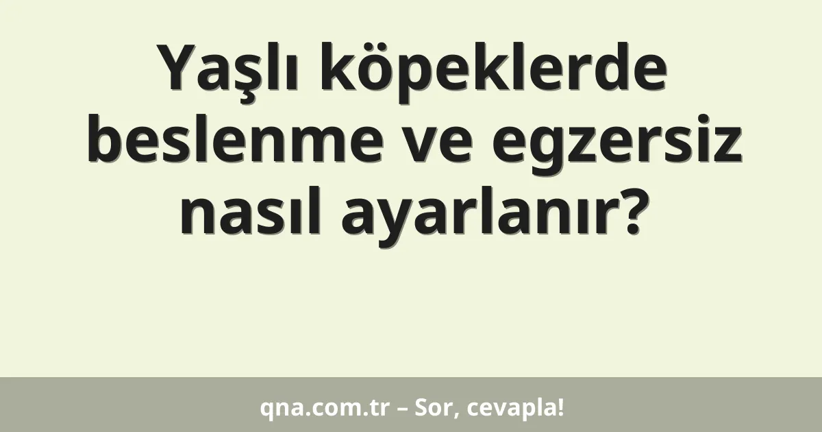 Yaşlı köpeklerde beslenme ve egzersiz nasıl ayarlanır?