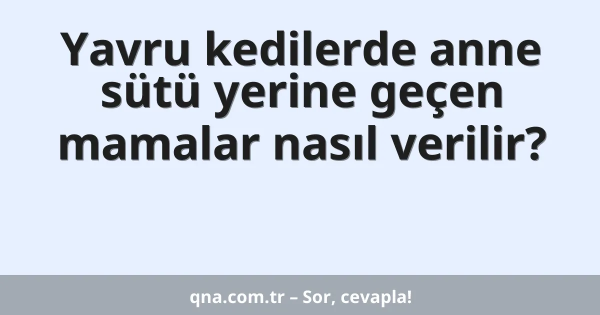 Yavru kedilerde anne sütü yerine geçen mamalar nasıl verilir?