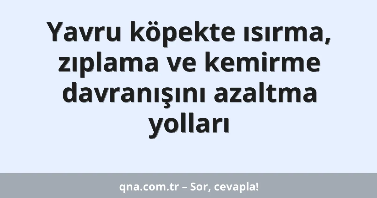 Yavru köpekte ısırma, zıplama ve kemirme davranışını azaltma yolları