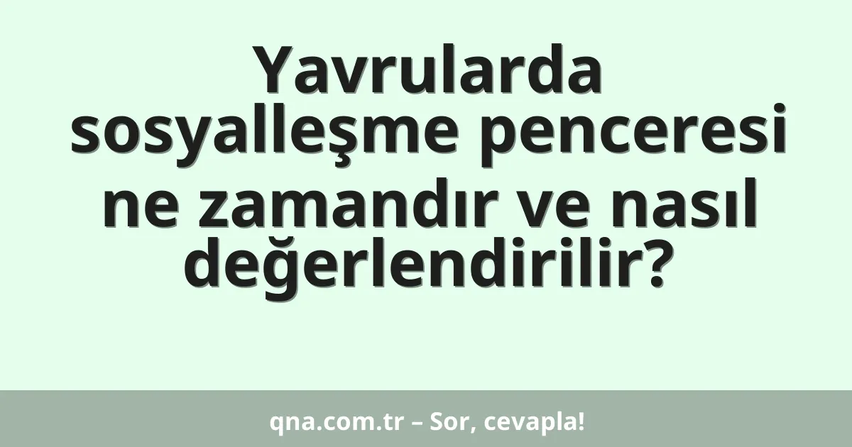 Yavrularda sosyalleşme penceresi ne zamandır ve nasıl değerlendirilir?