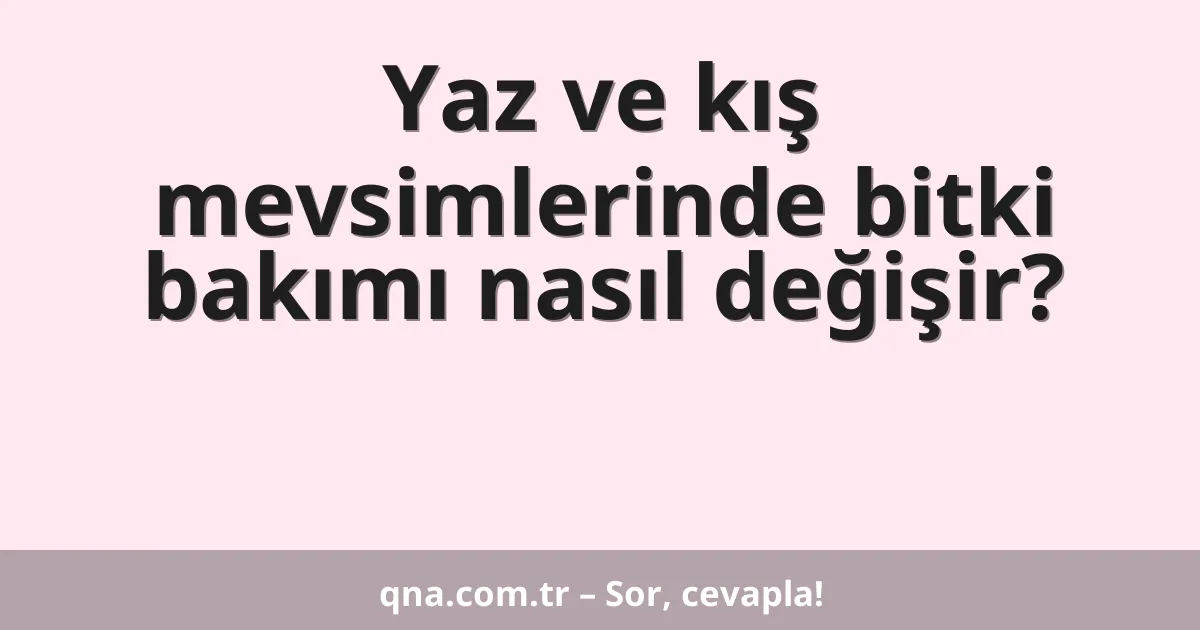 Yaz ve kış mevsimlerinde bitki bakımı nasıl değişir?