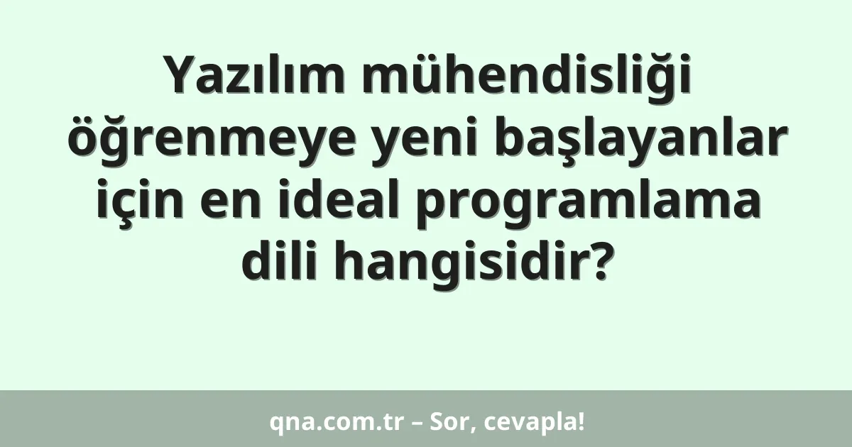 Yazılım mühendisliği öğrenmeye yeni başlayanlar için en ideal programlama dili hangisidir?