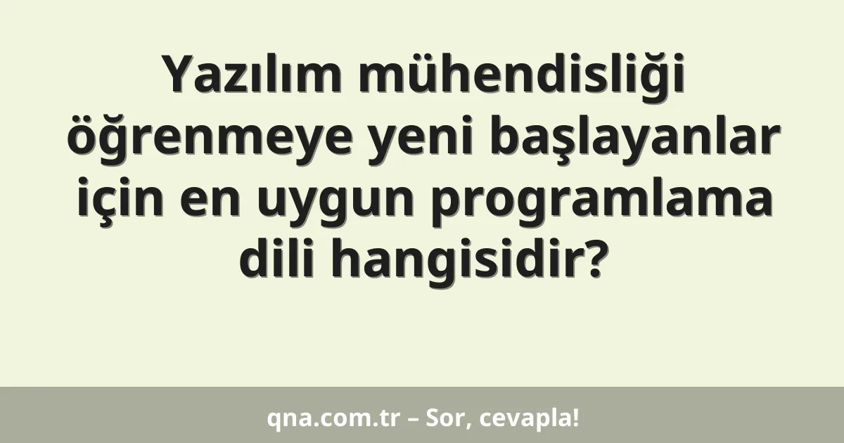 Yazılım mühendisliği öğrenmeye yeni başlayanlar için en uygun programlama dili hangisidir?